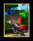 a night scene with a motorcycle in Belize thumbnail